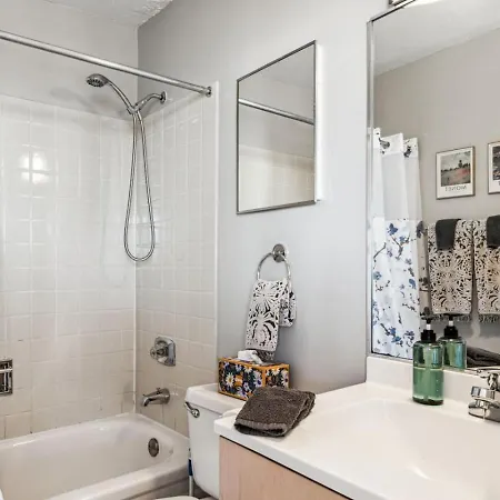 Downtown Mich Ave, Grant Park, Museums 2bd-2ba #20 *
