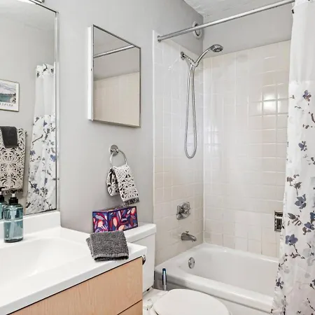 Downtown Mich Ave, Grant Park, Museums 2bd-2ba #20 *