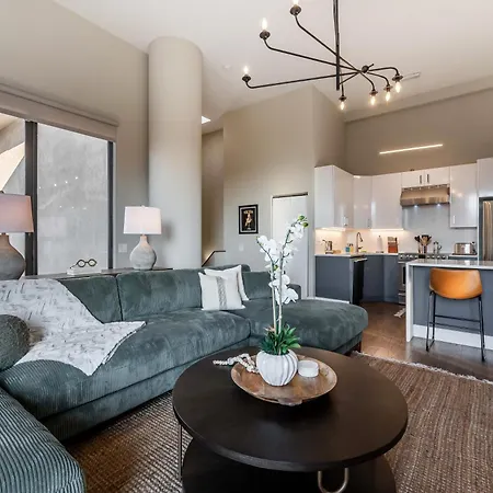 Apartment Downtown Penthouse 3bd Views Parking Gym #2 Chicago