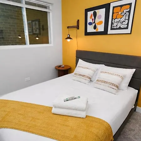 Spacious 3br Near United Center & Medical District Apartment Chicago