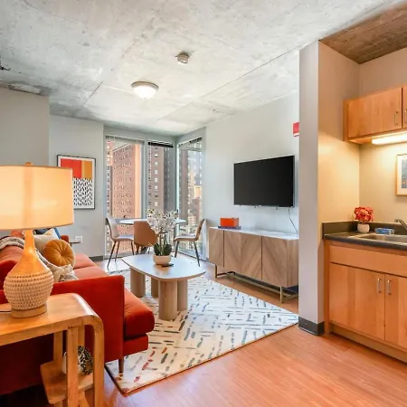 Downtown 2bd Gym Near Park Museums #4 Apartment Chicago