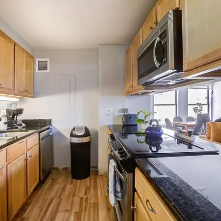 Downtown Penthouse I Vintage , Gym & Balcony #5 * Chicago
