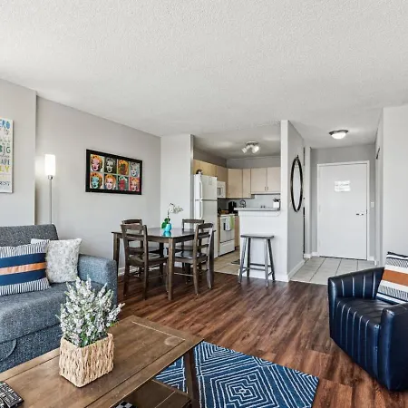 Mich Ave Downtown, Park, Museums 2bd-2ba #4 Chicago