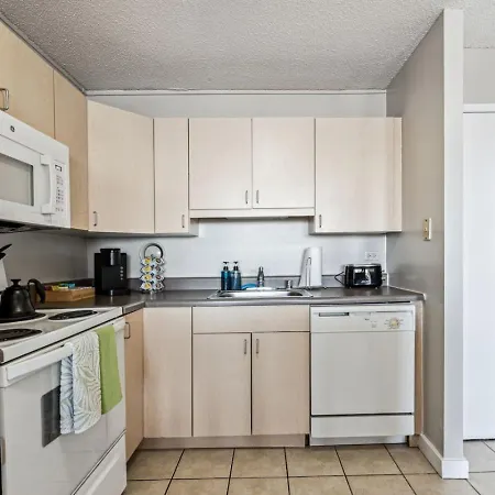 Apartment Mich Ave Downtown, Park, Museums 2bd-2ba #4