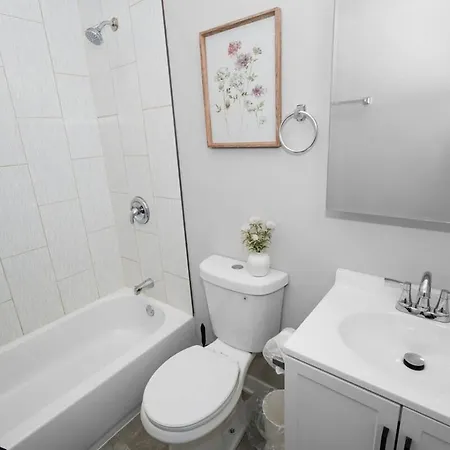 Apartment Spacious 3br Near United Center & Medical District Chicago