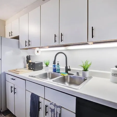 Apartment Huge Downtown Penthouse Park, Museums Gym #4 Chicago