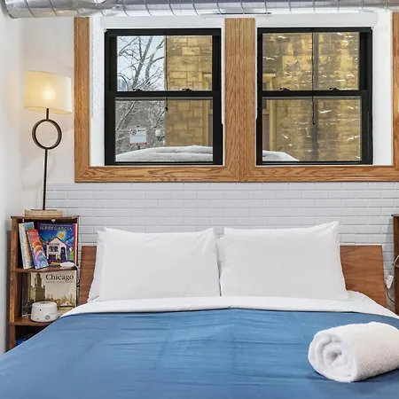 Apartment Fully Updated Jr, 1 Bed, Steps From Lincoln Park Chicago