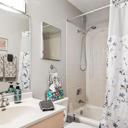 Mich Ave Downtown, Park, Museums 2bd-2ba #4 Chicago