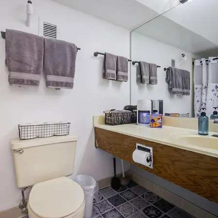 Apartment Huge Downtown Penthouse Park, Museums Gym #4
