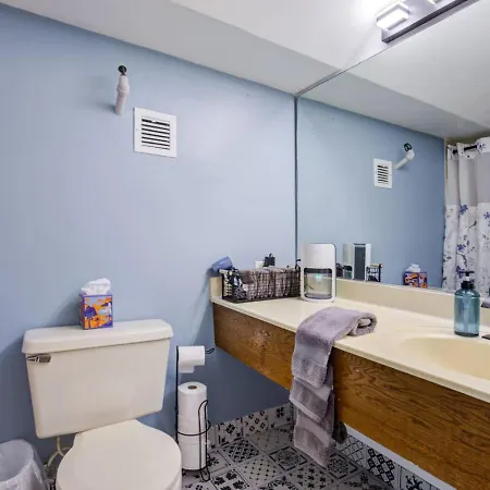 Downtown Penthouse I Vintage , Gym & Balcony #5 Apartment *