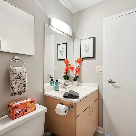 Mich Ave Downtown 2bd, Grant Park Museums #25 Apartment