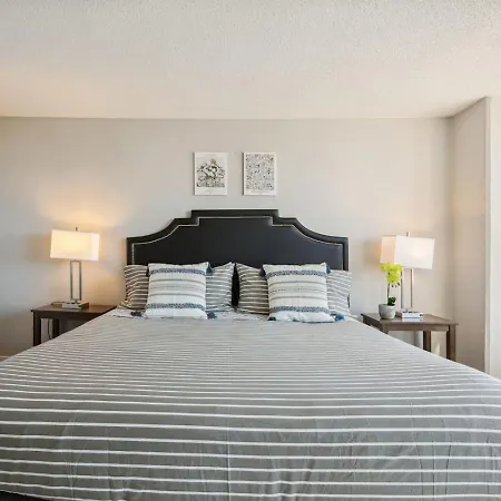 Mich Ave Downtown 2bd, Grant Park Museums #25 Apartment Chicago
