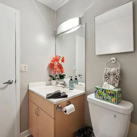 Mich Ave Downtown 2bd, Grant Park Museums #25 Apartment