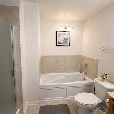 Apartment Grant Park 2br With Balcony Skyline View & Gym In Downtown Chicago