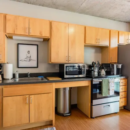 Apartment Downtown 9bd - Sleep 18 - Chicago