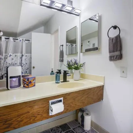 Apartment Sleep 25 - Huge Downtown Vintage Lofts, Balcony & Gym Chicago