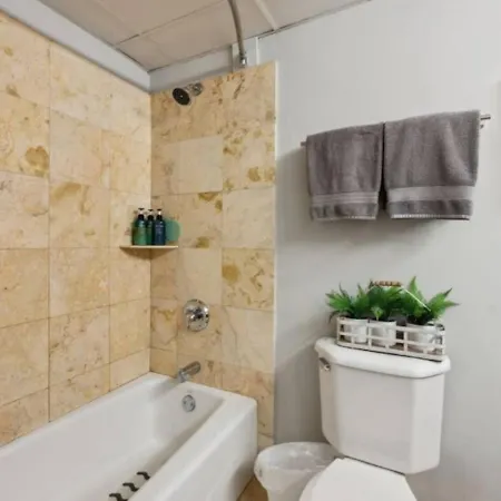 Sleep 14 Downtown, Vintage 5bd-2ba Gym & Patio Chicago