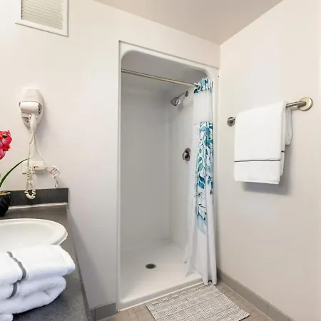 Downtown 9bd - Sleep 18 - Apartment