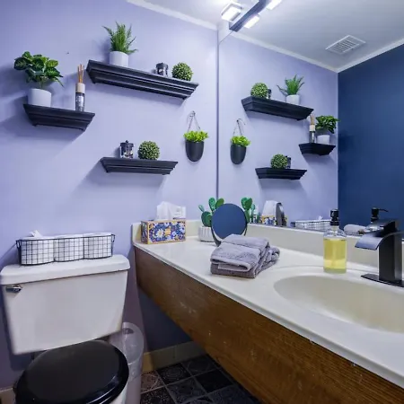 Apartment Sleep 25 - Huge Downtown Vintage Lofts, Balcony & Gym Chicago