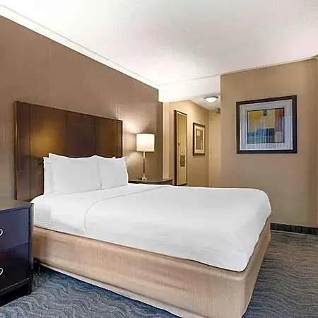 Western Grant Park Hotel Chicago