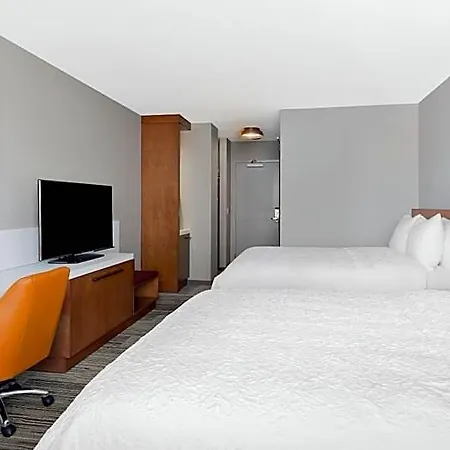 Hilton Garden Mccormick Place Hotel