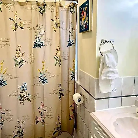 Lincoln Park 3 Bedroom Penthouse *