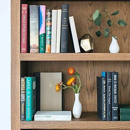 The Study At The Of 4* Chicago