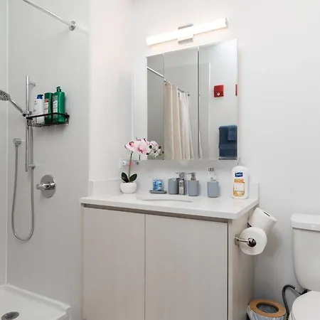Apartment Elegant Style Loft Montrose Rooftop Wfh Gym