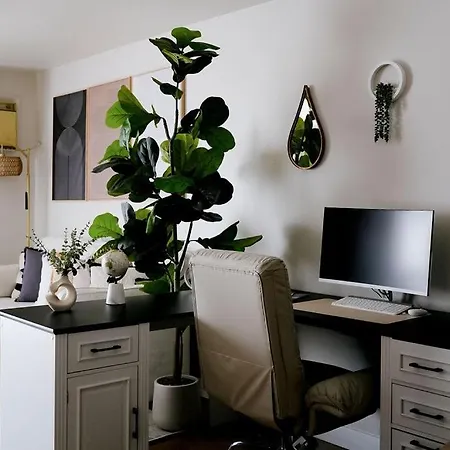 Apartment Modern 1br W/ Workspace Near O'hare