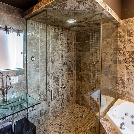 5-bedroom House In Pilsen Near Medical District
