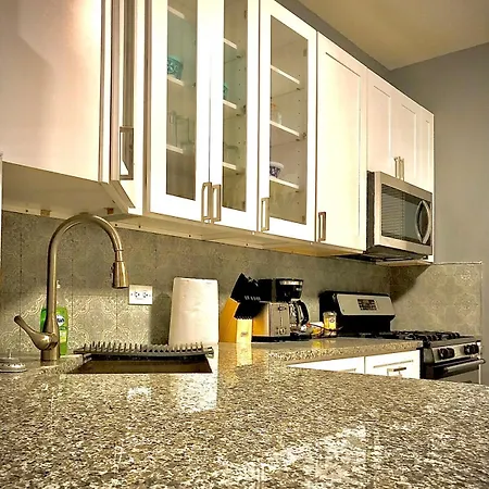 Apartment Coach Casa Penthouse - Minutes From Downtown Chicago