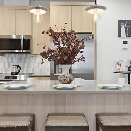 Black Gallery Solar 2br Woodlawn Apartment Chicago