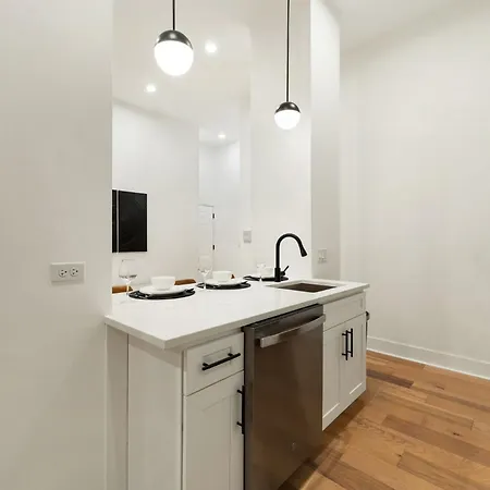 Spacious 3bd West Town Next To Kasama Chicago