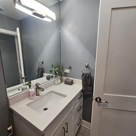 Apartment Spacious Modern Pilsen Retreat Sleeps 8 Near Downtown