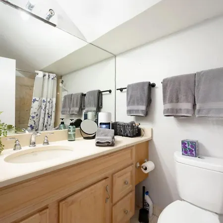 Vintage Downtown Penthouse, Gym & Balcony #6 Apartment Chicago