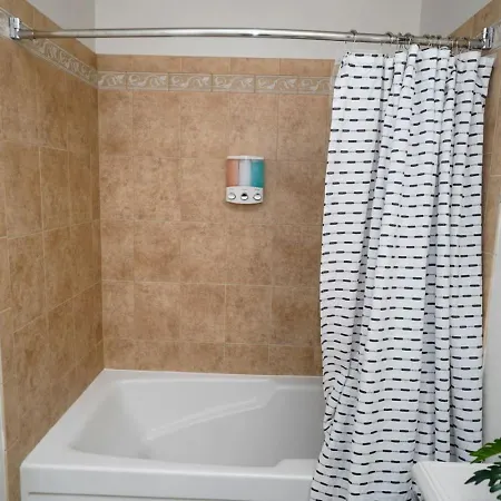 2br Skyline Views - 5 Min Walk To Grant Park Apartment