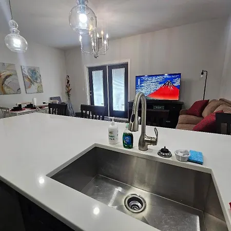 Apartment Spacious Modern Pilsen Retreat Sleeps 8 Near Downtown Chicago