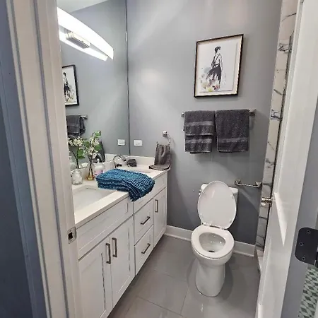 Spacious Modern Pilsen Retreat Sleeps 8 Near Downtown Apartment