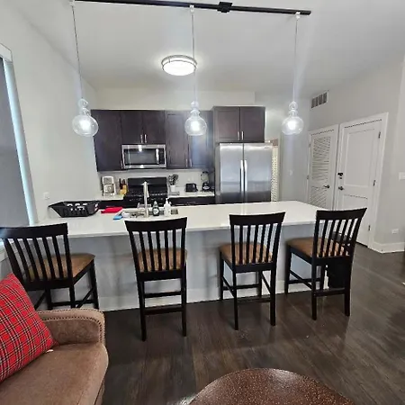 Spacious Modern Pilsen Retreat Sleeps 8 Near Downtown Chicago