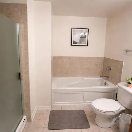 Modern 2br Skyline - 5 Min To Grant Park Apartment Chicago