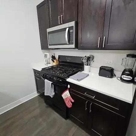 Spacious Modern Pilsen Retreat Sleeps 8 Near Downtown * Chicago