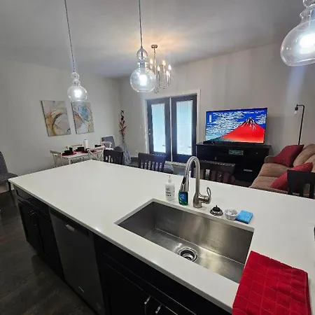 Apartment Spacious Modern Pilsen Retreat Sleeps 8 Near Downtown Chicago