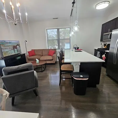 Apartment Spacious Modern Pilsen Retreat Sleeps 8 Near Downtown Chicago