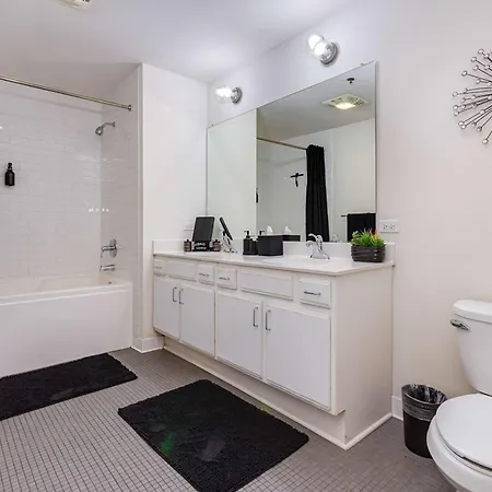 Apartment Downtown With Free In & Out Parking-2 Chicago