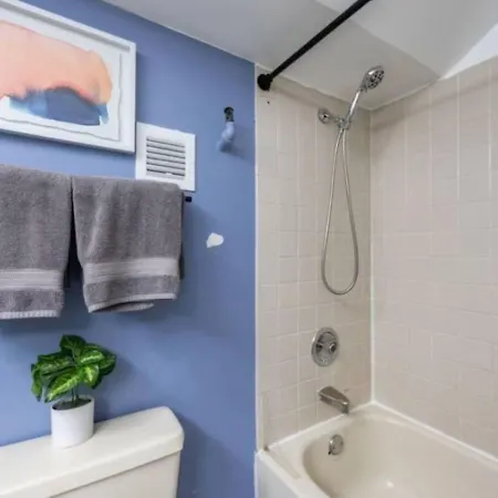 Spacious Downtown Penthouse Vintage, Gym & Balcony #3 Chicago