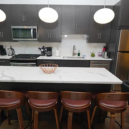 Spacious 4br West Loop Retreat With Optional Parking Apartment *