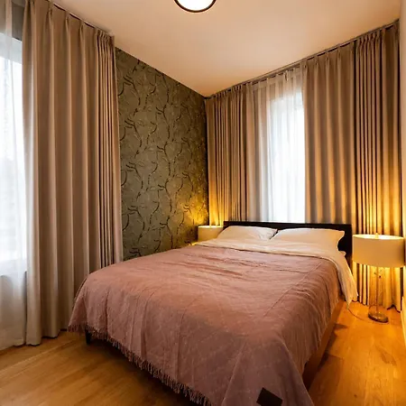 Apartment European Coziness In Bronzeville Chicago
