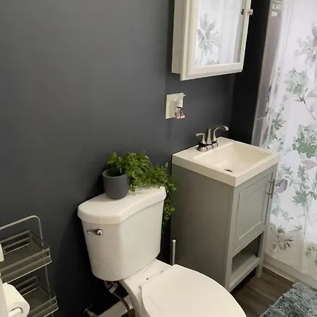 Apartment Affordable Near The 606 Chicago