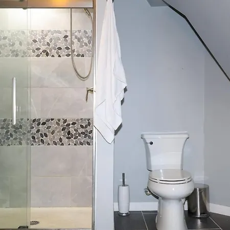 Spacious 5br Near Obama Center & Uchicago Apartment *