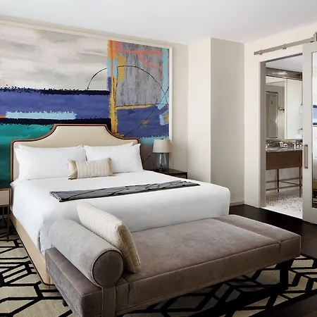 Sophy Hyde Park Hotel Chicago